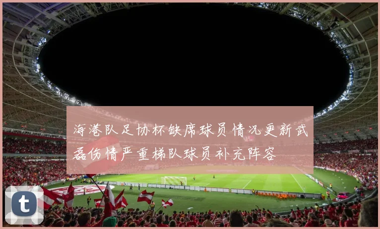 海港队足协杯缺席球员情况更新武磊伤情严重梯队球员补充阵容