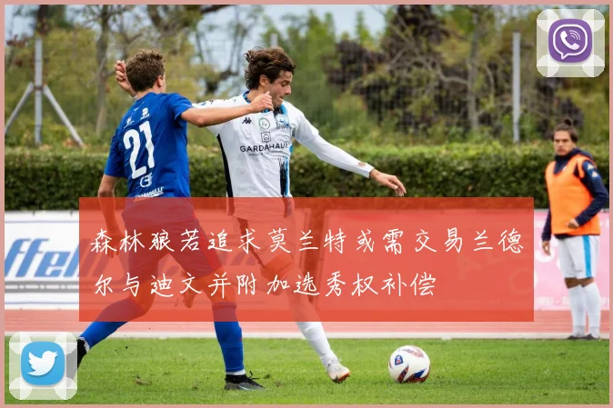 森林狼若追求莫兰特或需交易兰德尔与迪文并附加选秀权补偿