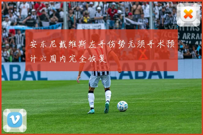安东尼戴维斯左手伤势无须手术预计六周内完全恢复
